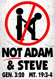 NOT ADAM & STEVE